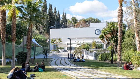 1318 Immobilien Nueva Andalucia-28 image