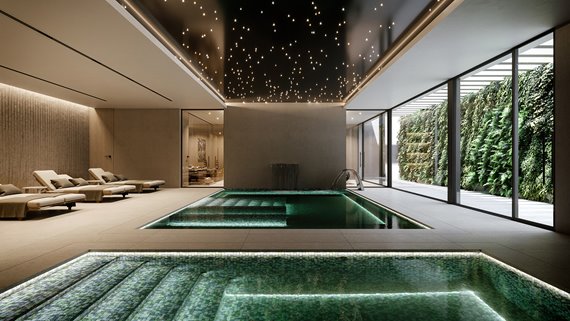 1701 Neubau Wohnungen Estepona-18 image