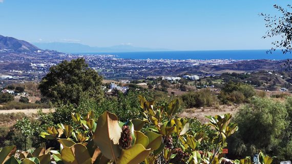 1788 Villa Marbella East -14 image