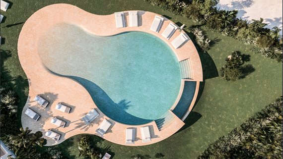 1984 Solaia-18 image