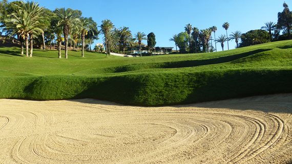 Abelias – Finca Doña Maria_RENDERS_18 image