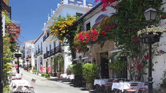 Almazara Views_32 image