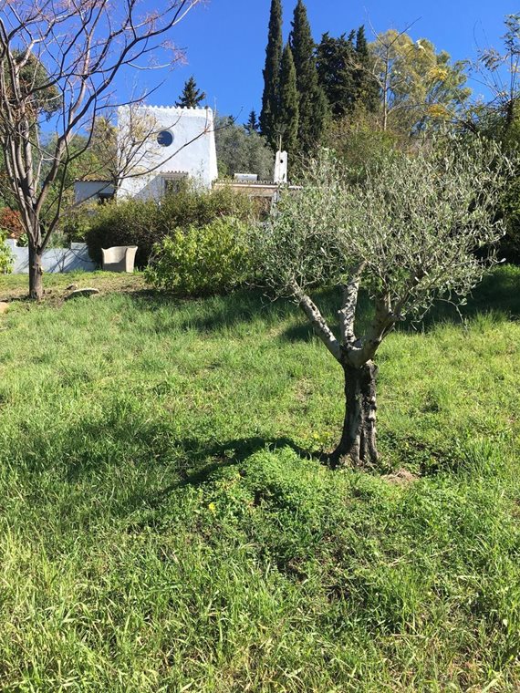 B98Le8~d7M9k3DegpEFZhS0lI_F8U4XZVz~HWxt~mGgYekxX9nCAxh0ZipZlAjNxEM6s1ur~IyRoHk21zVXx39XWT2D9Fp88G7HP99gHD9fM__9VTkohcviRHfrp1G8Qgh2xoqK8DhLWuSZcRemG image