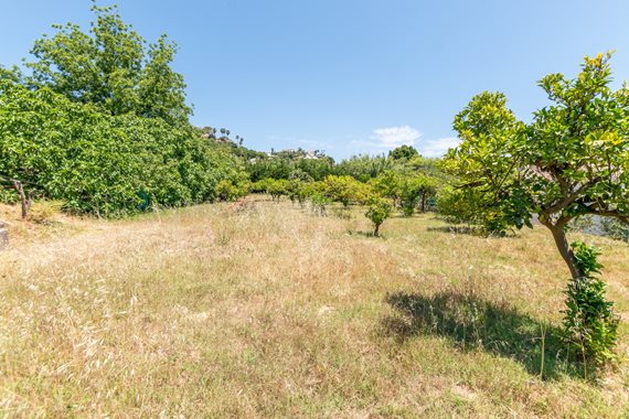 B98Le8~d7M9k3DegpEFZhS0lI_F8U4XZVz~HWxt~mGgYekxX9nCAxh0ZipZlAjNxEM6s1ur~IyRoHk21zVXx39XWT2SphP0Feic7tY5_0271QBWnQWscy6uOZUgRcIF78unG5nHRe54FaP~QLaZq image