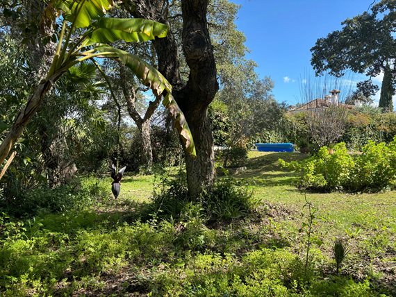 B98Le8~d7M9k3DegpEFZhS0lI_F8U4XZVz~HWxt~mGgYekxX9nCAxh0ZipZlAjNxEM6s1ur~IyRoHk21zVXx39XWTj0JB2Qh11q5AYcktB0t7uRiUMT_WcpIx2ov0jceiIDkT7351GqpEkQnK_Af image