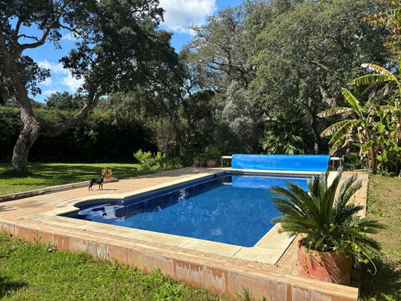 B98Le8~d7M9k3DegpEFZhS0lI_F8U4XZVz~HWxt~mGgYekxX9nCAxh0ZipZlAjNxEM6s1ur~IyRoHk21zVXx39XWTj0JB2Qm5pJPx_lOl5Np~Q2Vy2qa3rNhf9SQjhwkTCXzCvHOBqJ~76dDOXxv image