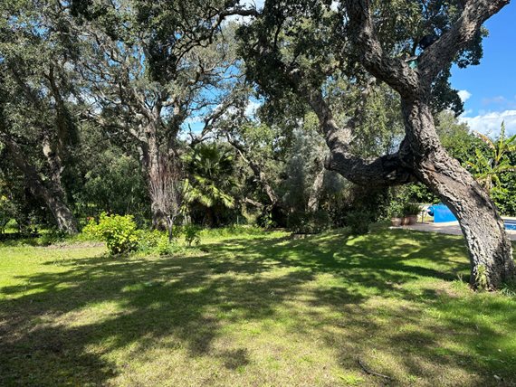 B98Le8~d7M9k3DegpEFZhS0lI_F8U4XZVz~HWxt~mGgYekxX9nCAxh0ZipZlAjNxEM6s1ur~IyRoHk21zVXx39XWTj0JB2R3oV7GqWce1YqV9S~4ExER90Kgk3fhSHkkUpewDqdiZR7IQUTC7Ldx image