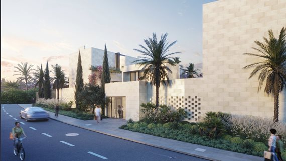 Bougainvillea_30 image