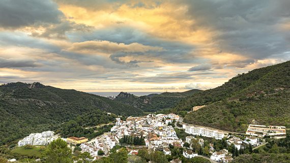 Fuente Lirios_19 image