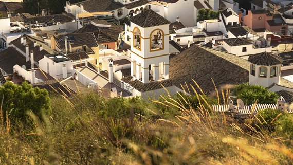 Fuente Lirios_25 image