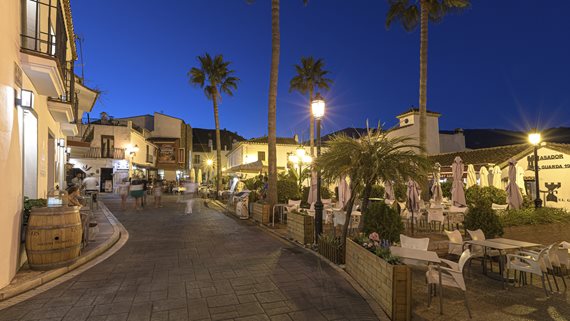 Fuente Lirios_28 image