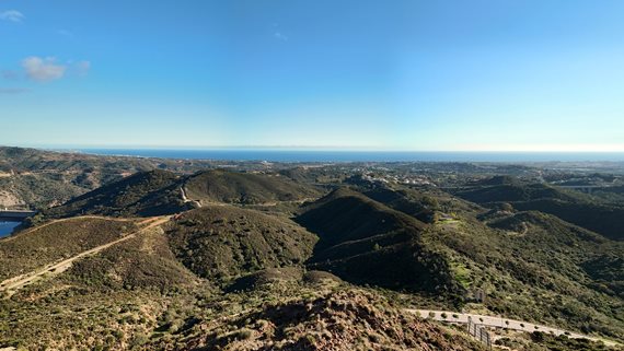 Mimosas Renders_35 image