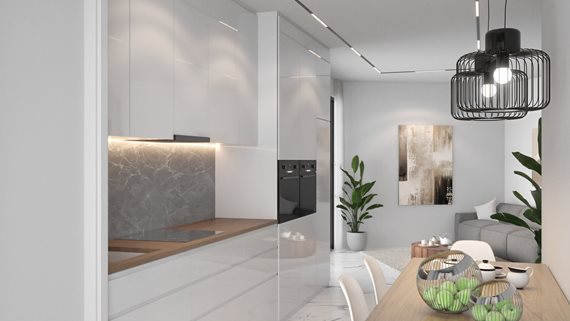 Renders Villa Svetlana_12 image