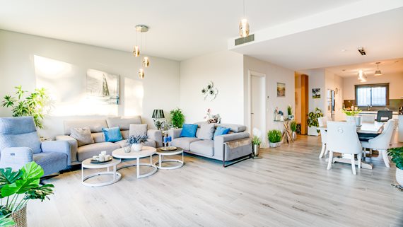 San Roque 12-11 image